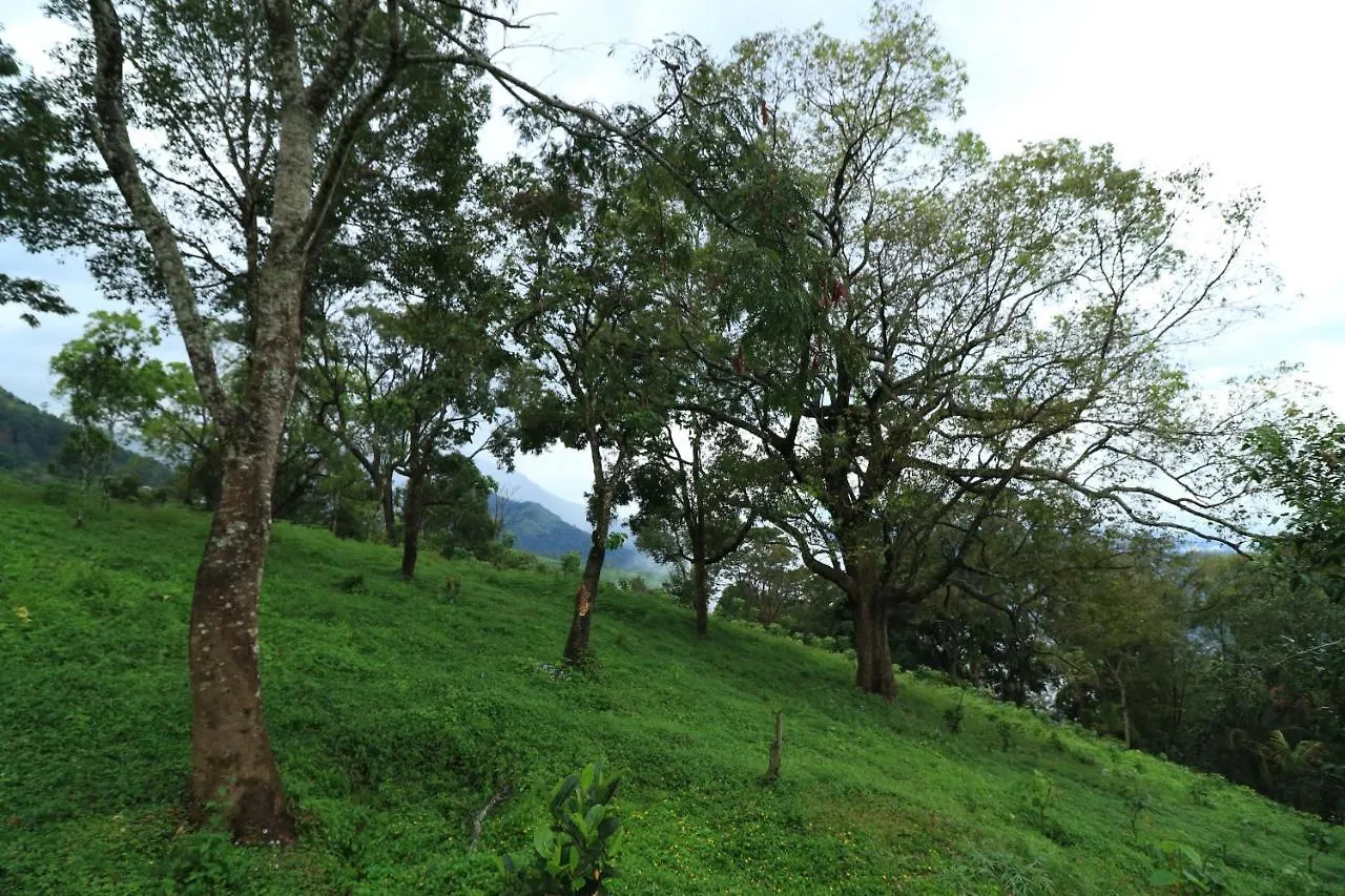 Resort Ambady Estate Hotel Munnar